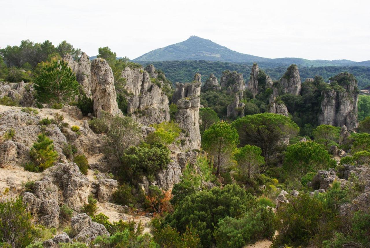 Belle Etape: Cozy 3-Star Residence in Beziers City Center Exterior photo