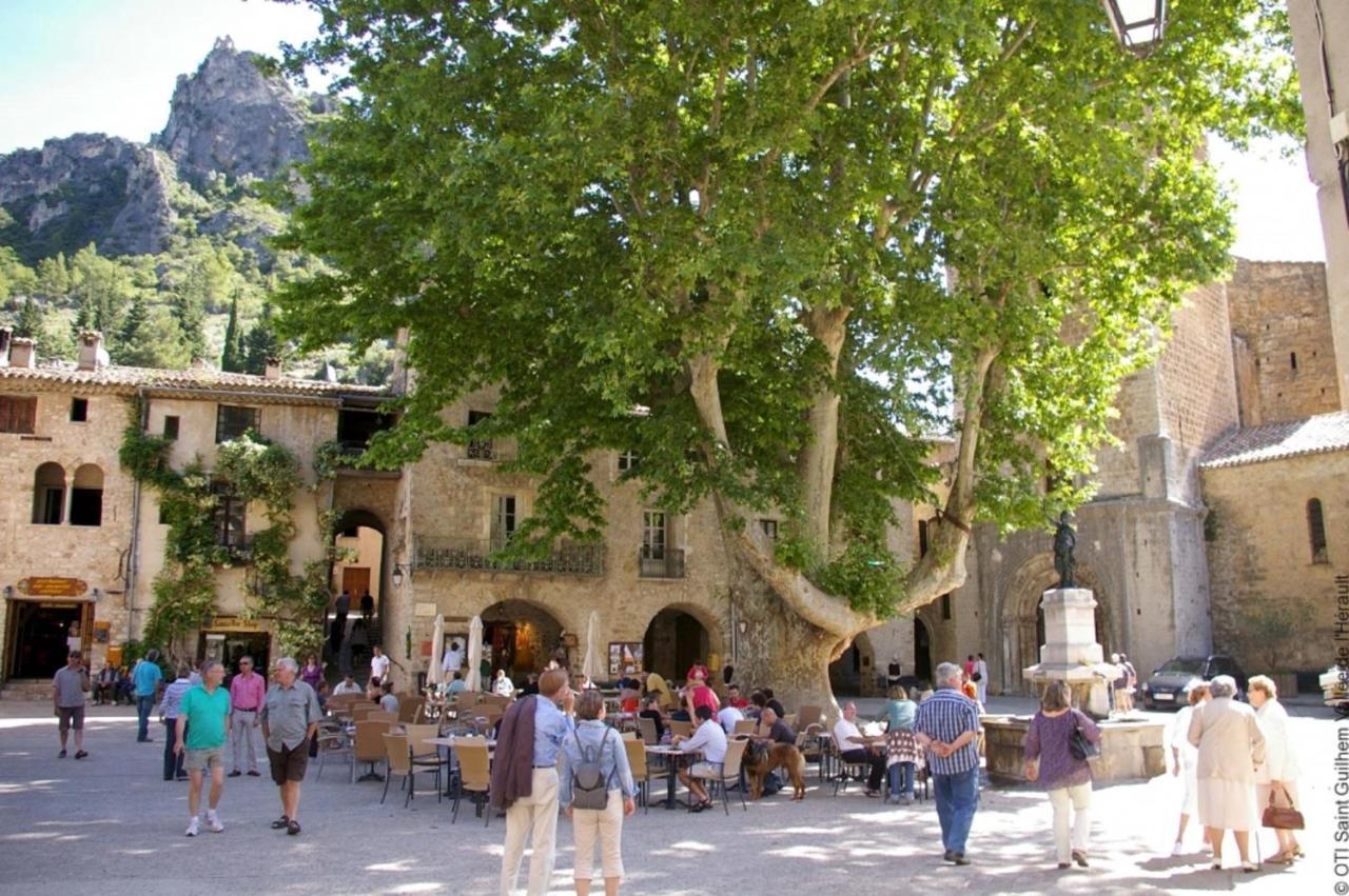 Belle Etape: Cozy 3-Star Residence in Beziers City Center Exterior photo